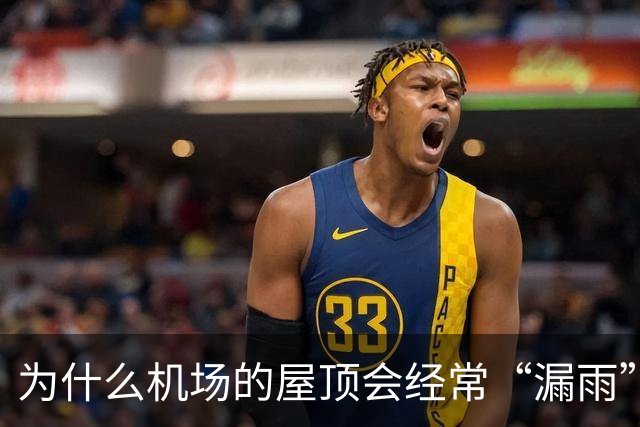 为什么机场的屋顶会经常“漏雨”？用“苔藓”来接漏水也不过是“缓解下旅客心情”而已！