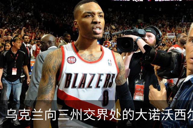 乌克兰向三州交界处的大诺沃西尔卡推进！夺取小迪布罗瓦