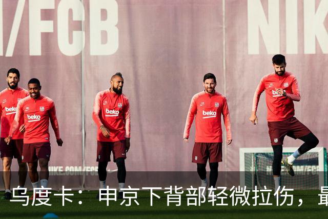 乌度卡：申京下背部轻微拉伤，最多缺席几场