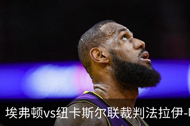 埃弗顿vs纽卡斯尔联裁判法拉伊-哈勒姆数据：近20场0红66黄6点