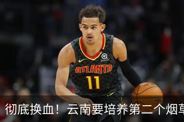彻底换血！云南要培养第二个烟草产业，它够格接棒吗？