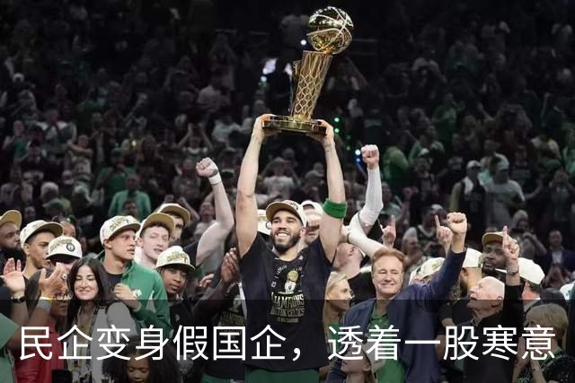 民企变身假国企，透着一股寒意