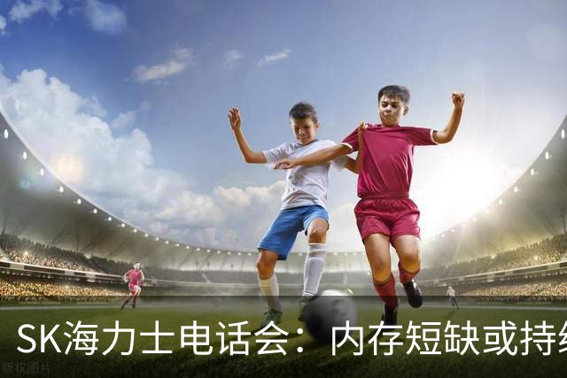 SK海力士电话会：内存短缺或持续至2030年，DRAM明年需求增幅预计超20%，将推进约100万亿韩元股东回报